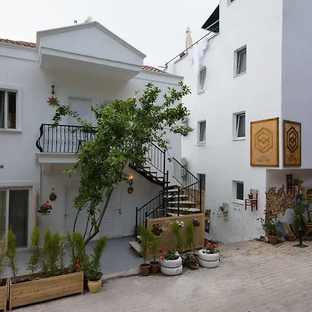 Homestay 8